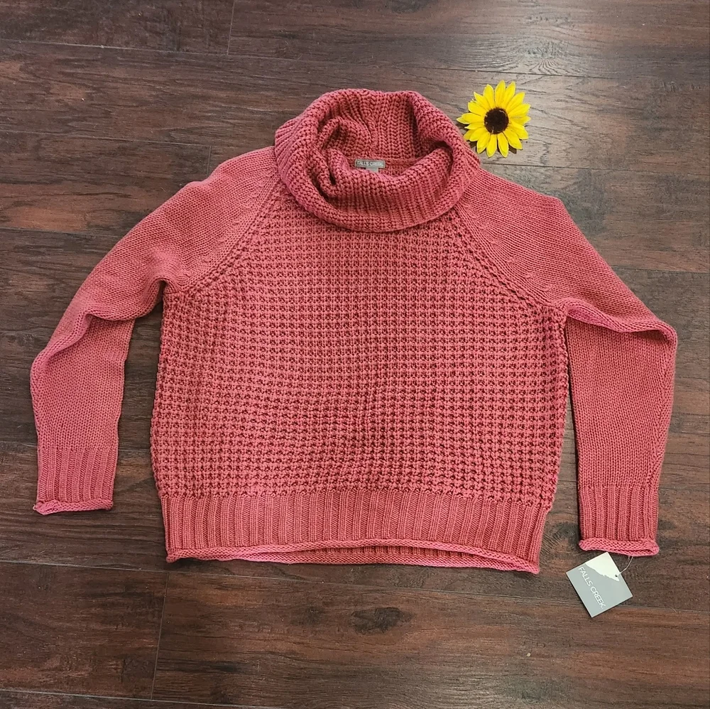 NEW WITH TAG TURTLENECK COZY CHUNKY SWEATER 🐈⬛ - Picture 1 of 6